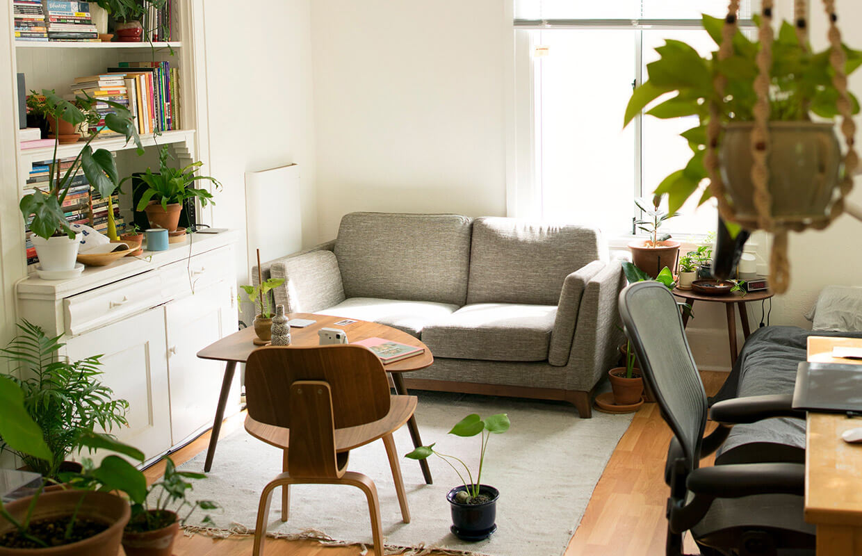 despacho moderno y natural con muchas plantas